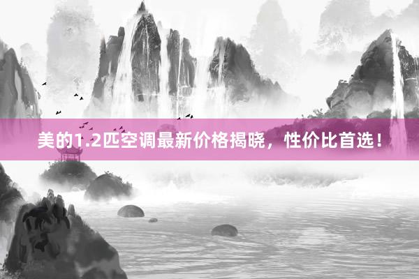 美的1.2匹空调最新价格揭晓，性价比首选！